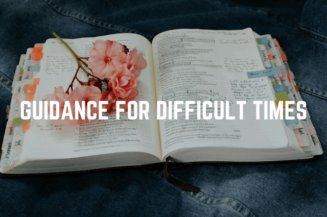 Pink flower on bible-Guidance for Difficult Times