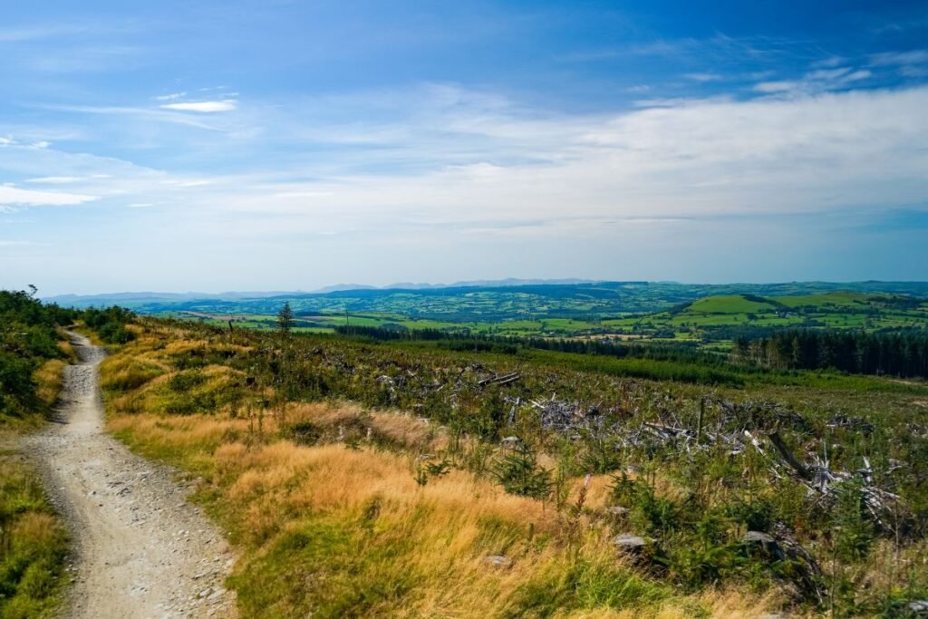 A dirt path through grassy hills under a bright blue sky, reminding us to be patient and keep trusting God's timing on our journey.